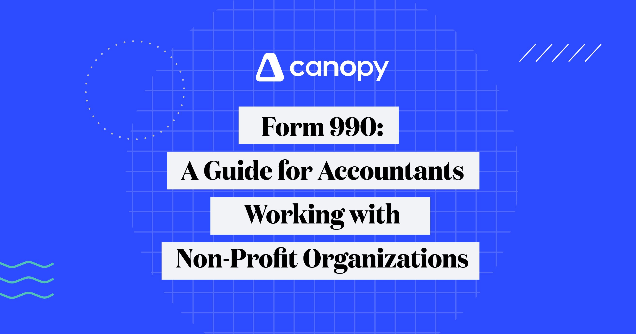 Form 990: A Guide for Accountants Working with Non-Profit Organizations